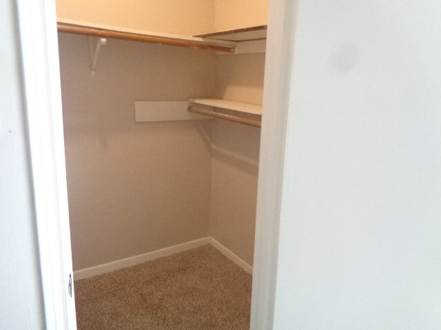 property at 5502 Deep Forest Dr