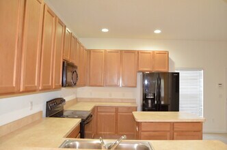 9136 Grey Moss Dr in Orlando, FL - Building Photo - Building Photo