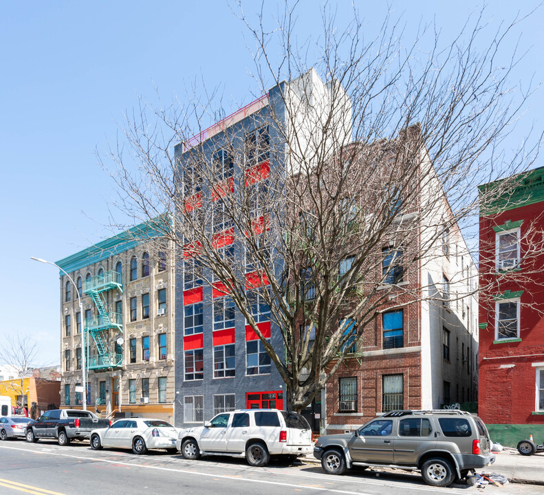 253 Mother Gaston Blvd in Brooklyn, NY - Foto de edificio