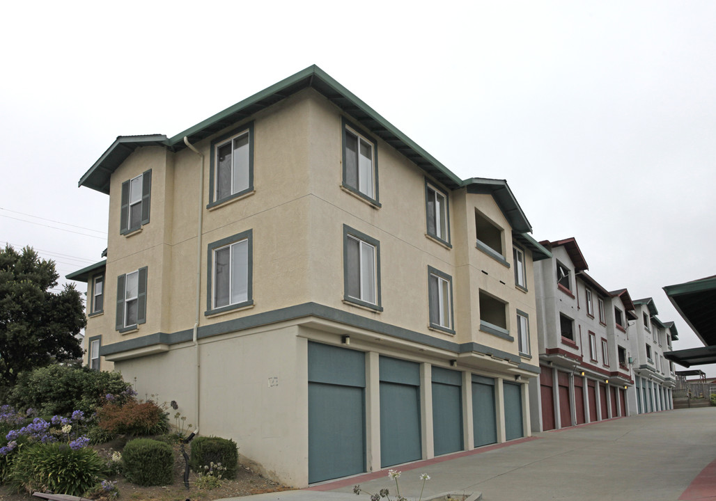 Sunset Vista Apartments in Richmond, CA - Building Photo