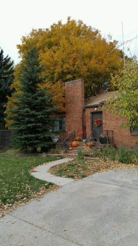 property at 317 S Shields St
