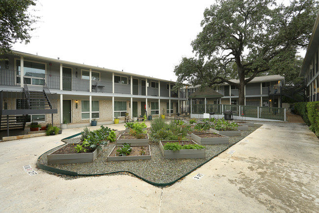 Treaty Oaks Apartments in Austin, TX - Building Photo - Building Photo