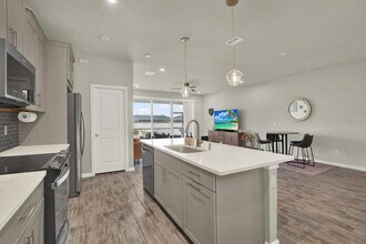 2388 Audubon Preserve Ln in Lutz, FL - Building Photo - Building Photo