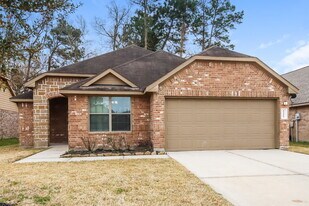 19190 Shire Horse Blvd in Porter, TX - Building Photo