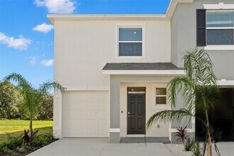 1393 Colt Creek Pl in Wesley Chapel, FL - Building Photo - Building Photo