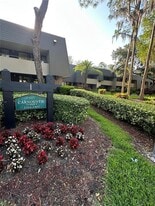 36750 US-19 in Palm Harbor, FL - Building Photo