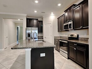 13647 Ashlar Slate Pl in Riverview, FL - Building Photo - Building Photo