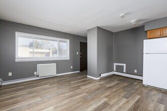 19625 Conant in Detroit, MI - Building Photo - Building Photo