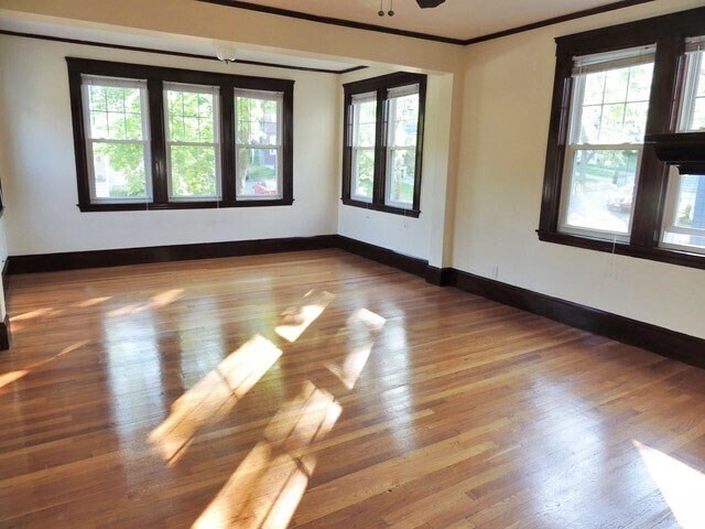 37 Lewis St in Newton, MA - Building Photo - Building Photo