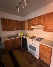 250 Commonwealth Ave, Unit 20 in Boston, MA - Foto de edificio - Building Photo