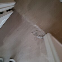 45014 Anabell Ln in Lake Elsinore, CA - Building Photo - Building Photo