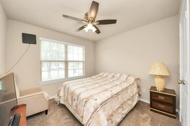 property at 17719 Rose Summit Ln