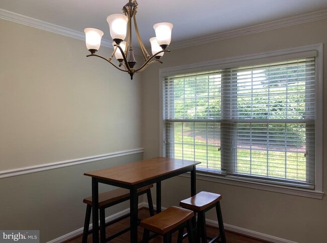 800 Amber Tree Ct in Gaithersburg, MD - Building Photo - Building Photo