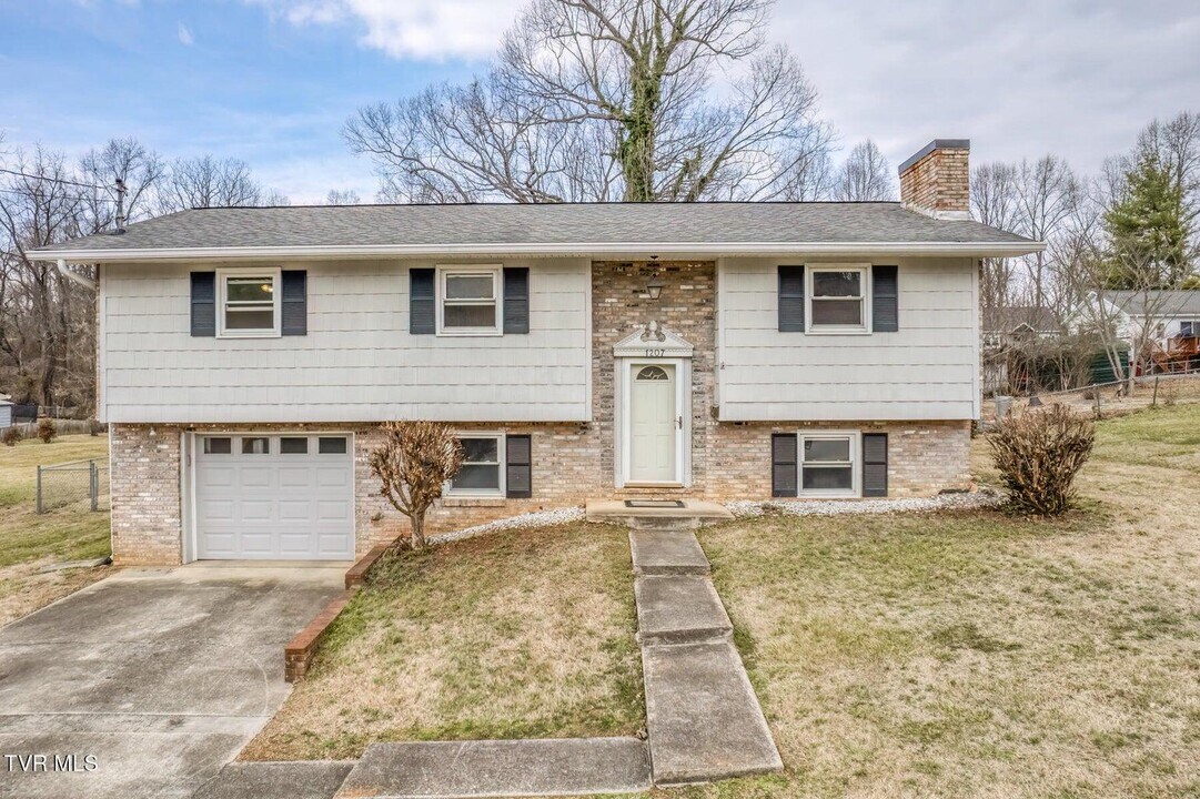 1207 Althea St in Johnson City, TN - Building Photo