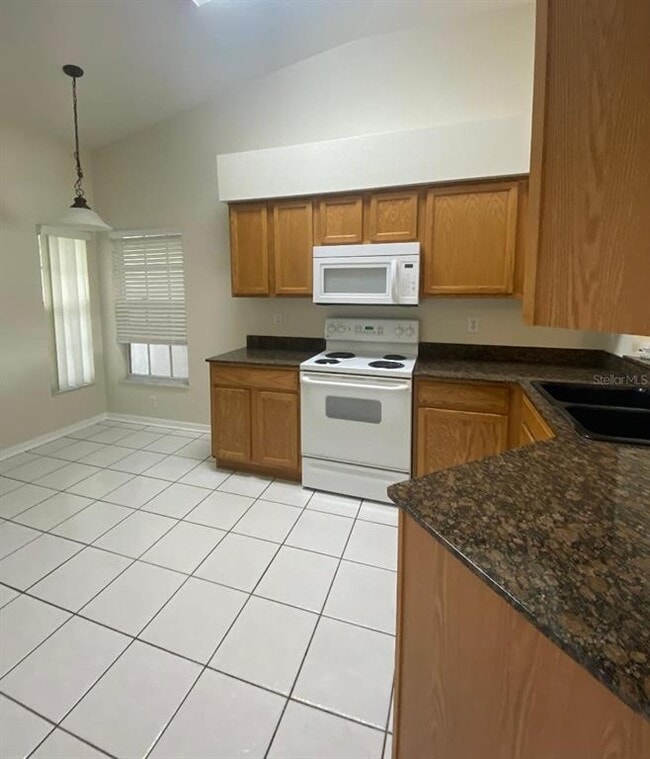 25456 Geddy Dr in Land O Lakes, FL - Building Photo - Building Photo