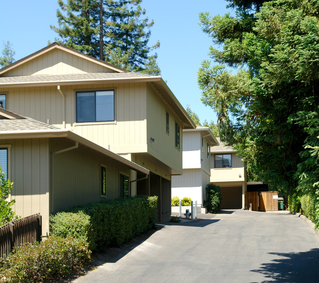 156 Gold Ridge in Sebastopol, CA - Foto de edificio - Building Photo