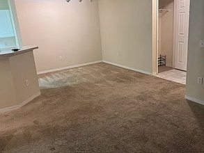 18001 Richmond Pl Dr, Unit 231 in Tampa, FL - Building Photo - Building Photo