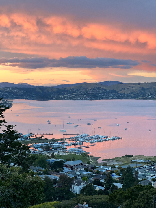 136 Spencer Ave in Sausalito, CA - Building Photo