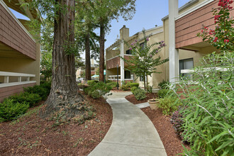 Bart Springs Apartments in Hayward, CA - Building Photo - Building Photo