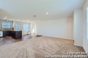 14739 Hooded Merganser in San Antonio, TX - Building Photo - Building Photo