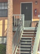 12403 Hibiscus Oak Pl in Tampa, FL - Building Photo