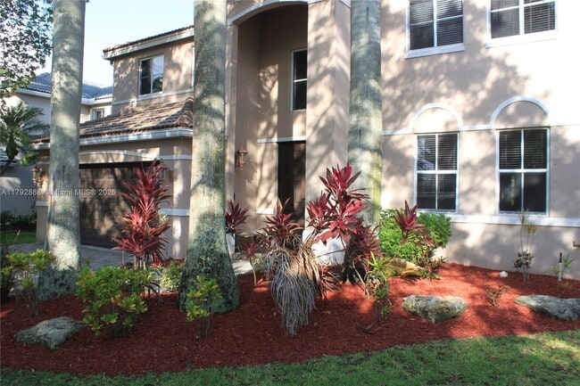 947 Nandina Dr in Weston, FL - Building Photo - Building Photo