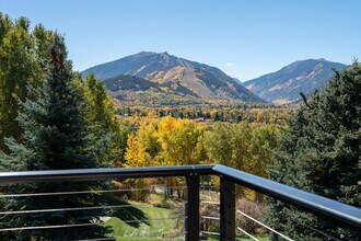 59 Herron Hollow Dr in Aspen, CO - Building Photo - Building Photo