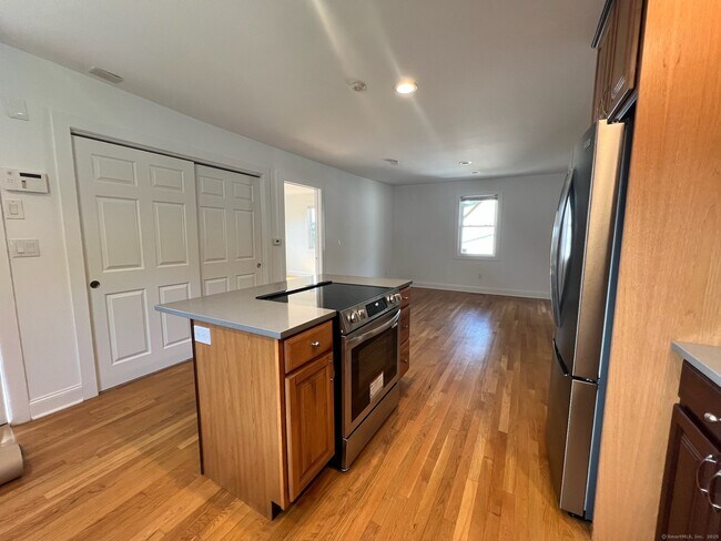 56 N Spring St in Ansonia, CT - Building Photo - Building Photo