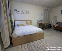 238 Hemenway St, Unit 18 in Boston, MA - Foto de edificio - Building Photo