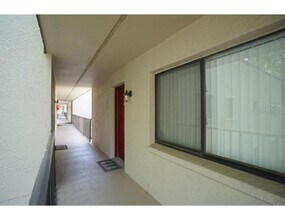 11713 Raintree Village Blvd in Temple Terrace, FL - Building Photo - Building Photo