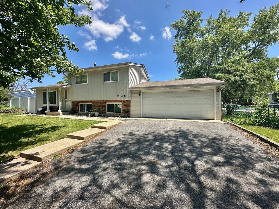 220 Hampdon Ct in Bolingbrook, IL - Building Photo