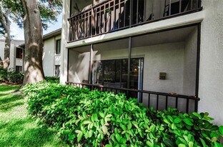 2575 Pine Ridge Way S in Palm Harbor, FL - Building Photo