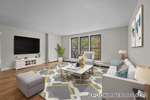 10 Juniper St in Brookline, MA - Building Photo