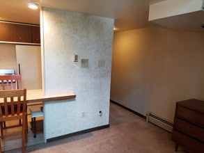 315 N Neville St, Unit 2 in Pittsburgh, PA - Building Photo - Building Photo