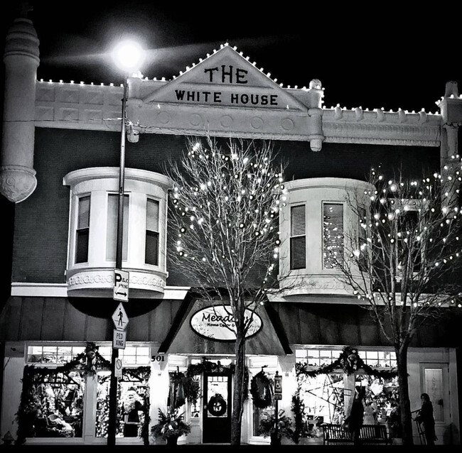 503 S Main St, Unit 1 in Princeton, IL - Foto de edificio - Building Photo