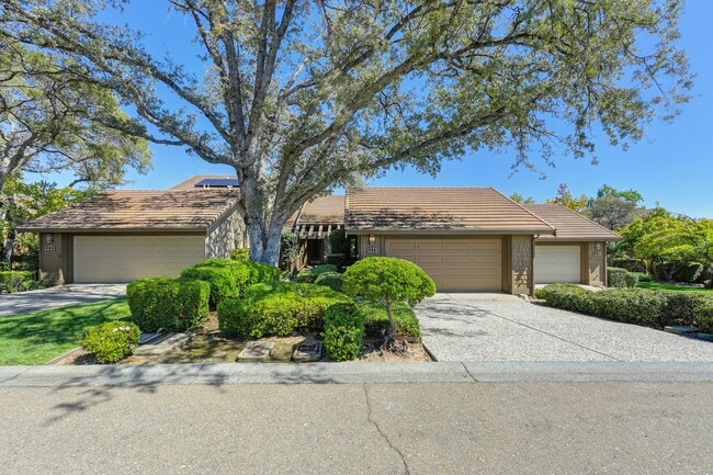 property at 1225 Red Dog Ln