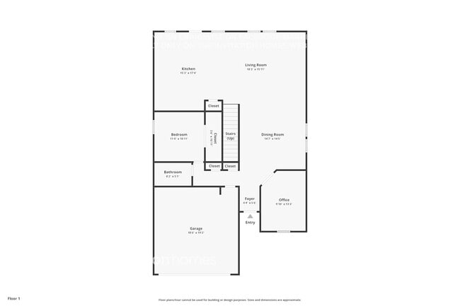1607 Crown Daisy