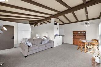 16 Bryan Ave in Antioch, CA - Building Photo - Building Photo