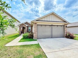 14006 Macquarie Dr in Pflugerville, TX - Building Photo