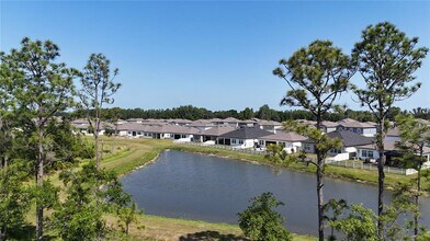 8922 Little Bluestem Dr in Land O Lakes, FL - Building Photo - Building Photo