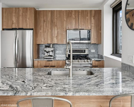 303 W Ohio St in Chicago, IL - Building Photo - Building Photo