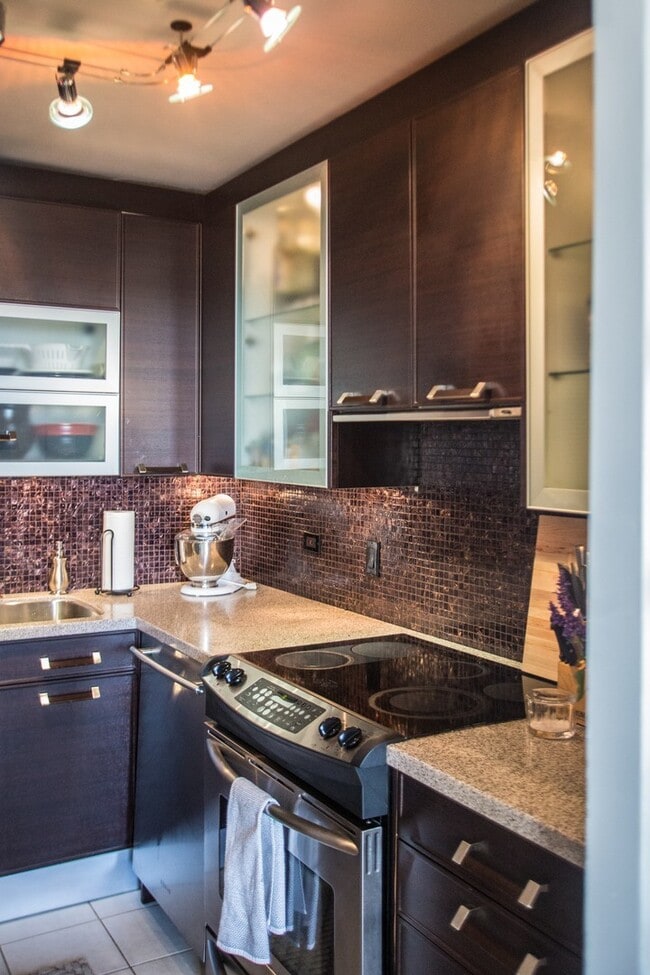 1455 N Sandburg Terrace in Chicago, IL - Building Photo - Building Photo