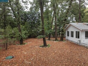 1244 Stone Valley Rd in Alamo, CA - Building Photo - Building Photo