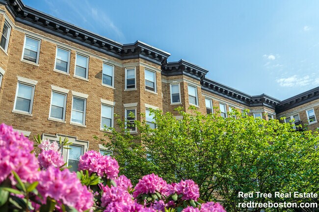 107 Queensberry St, Unit 1 in Boston, MA - Foto de edificio - Building Photo