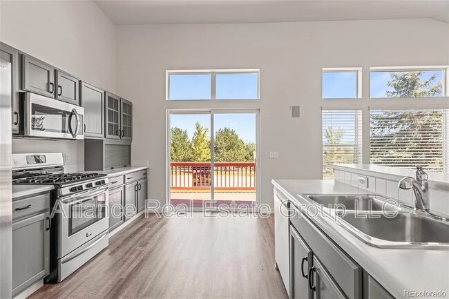 1255 Ballata Ct in Castle Rock, CO - Building Photo - Building Photo