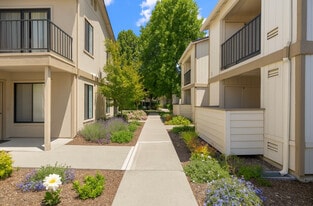 Camino Creek in Rohnert Park, CA - Building Photo
