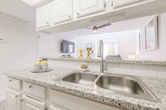 Turtle Pointe Apartments in Houston, TX - Building Photo - Building Photo