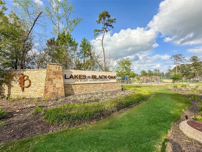 52 Valiant Ridge Trail in Magnolia, TX - Building Photo - Building Photo