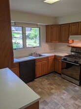 101 Roundhill Rd in Chapel Hill, NC - Building Photo - Building Photo