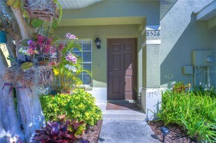 8526 Brushleaf Way in Tampa, FL - Building Photo